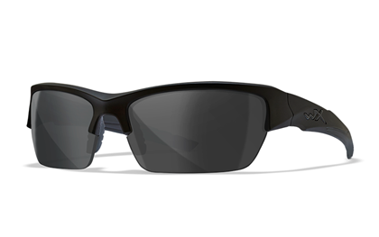 VALOR Polarized Smoke Grey Matte Black Frame
